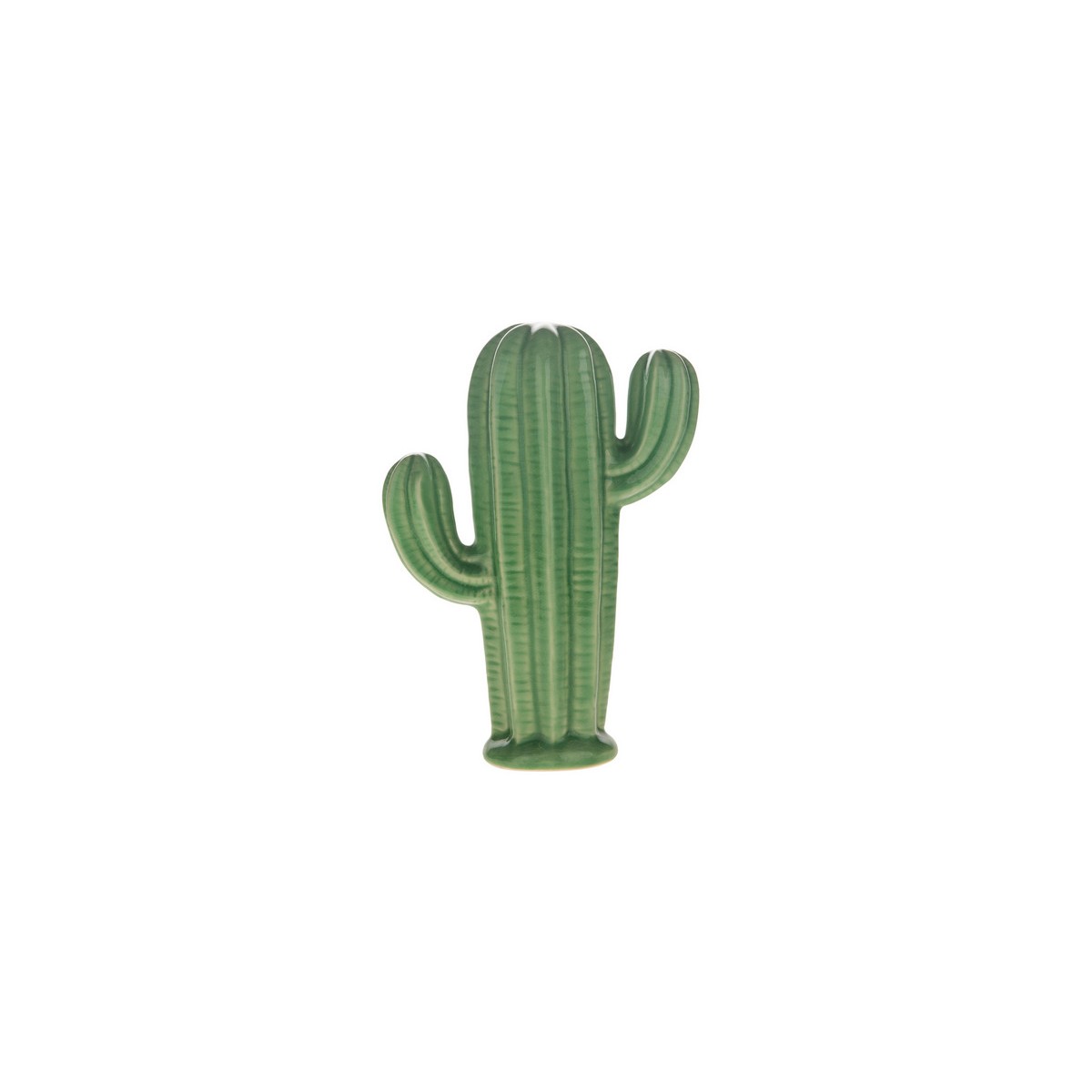 Cactus porcellana — Oggettistica