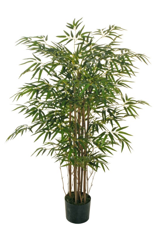 Bamboo h. 120 pianta in vaso — Piante Artificiali