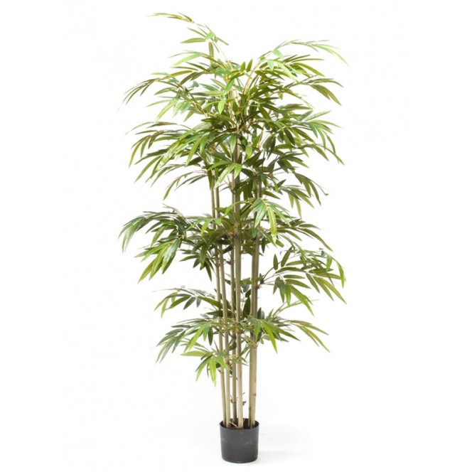 Pianta bamboo c/vaso — Piante Artificiali
