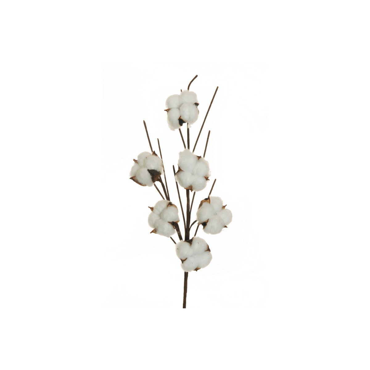 Ramo fiore di cotone x6 bianco — Fiori Artificiali